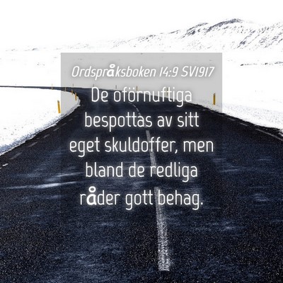 Picture 04 - Ordspråksboken 14:9 SV1917 - De oförnuftiga bespottas av sitt eget - Bible Verse Picture