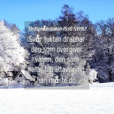Picture 04 - Ordspråksboken 15:10 SV1917 - Svår tuktan drabbar den som övergiver vägen; - Bible Verse Picture