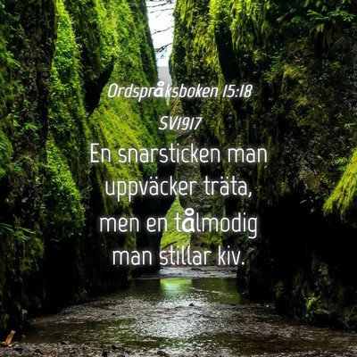 Picture 04 - Ordspråksboken 15:18 SV1917 - En snarsticken man uppväcker träta, men en - Bible Verse Picture