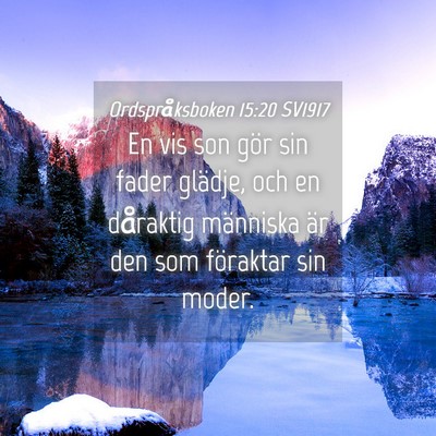 Picture 04 - Ordspråksboken 15:20 SV1917 - En vis son gör sin fader glädje, och en - Bible Verse Picture