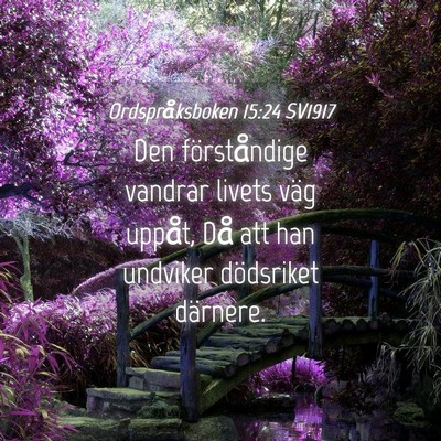 Picture 04 - Ordspråksboken 15:24 SV1917 - Den förståndige vandrar livets väg uppåt, Då - Bible Verse Picture