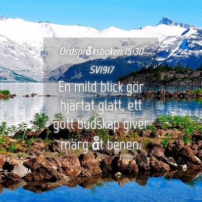 Picture 04 - Ordspråksboken 15:30 SV1917 - En mild blick gör hjärtat glatt, ett gott - Bible Verse Picture