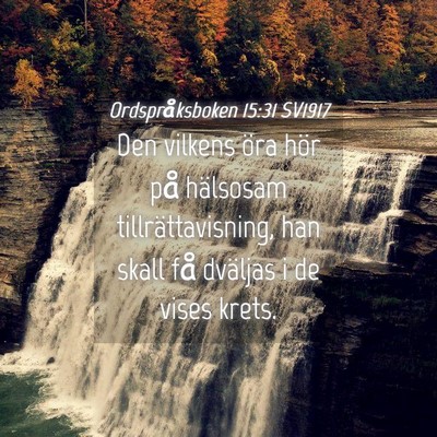 Picture 04 - Ordspråksboken 15:31 SV1917 - Den vilkens öra hör på hälsosam - Bible Verse Picture