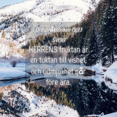 Picture 04 - Ordspråksboken 15:33 SV1917 - HERRENS fruktan är en tuktan till vishet, och - Bible Verse Picture