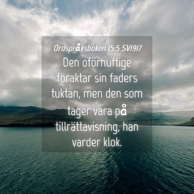 Picture 04 - Ordspråksboken 15:5 SV1917 - Den oförnuftige föraktar sin faders tuktan, men - Bible Verse Picture