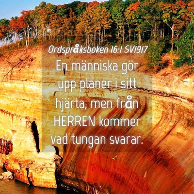 Picture 04 - Ordspråksboken 16:1 SV1917 - En människa gör upp planer i sitt hjärta, men - Bible Verse Picture