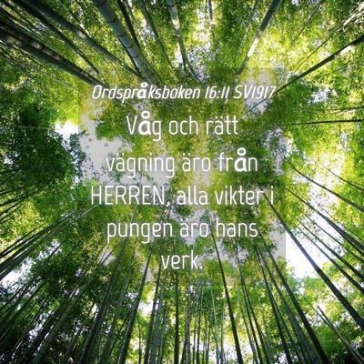 Picture 04 - Ordspråksboken 16:11 SV1917 - Våg och rätt vägning äro från HERREN, alla - Bible Verse Picture
