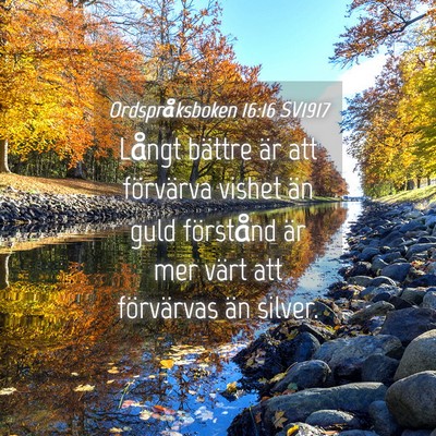 Picture 04 - Ordspråksboken 16:16 SV1917 - Långt bättre är att förvärva vishet än guld - Bible Verse Picture