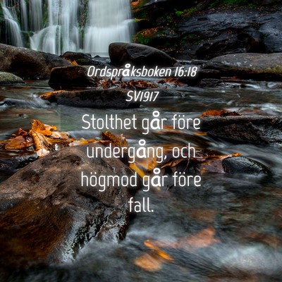 Picture 04 - Ordspråksboken 16:18 SV1917 - Stolthet går före undergång, och högmod går - Bible Verse Picture