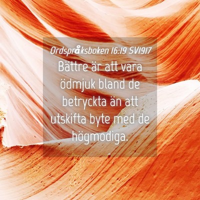 Picture 04 - Ordspråksboken 16:19 SV1917 - Bättre är att vara ödmjuk bland de betryckta - Bible Verse Picture