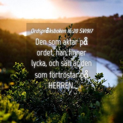 Picture 04 - Ordspråksboken 16:20 SV1917 - Den som aktar på ordet, han finner lycka, och - Bible Verse Picture