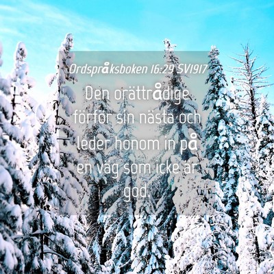 Picture 04 - Ordspråksboken 16:29 SV1917 - Den orättrådige förför sin nästa och leder - Bible Verse Picture