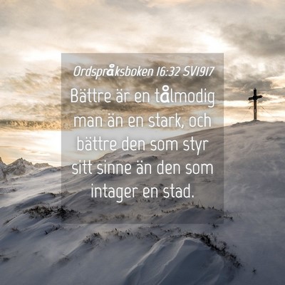 Picture 04 - Ordspråksboken 16:32 SV1917 - Bättre är en tålmodig man än en stark, och - Bible Verse Picture