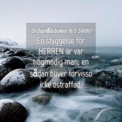 Picture 04 - Ordspråksboken 16:5 SV1917 - En styggelse för HERREN är var högmodig man; - Bible Verse Picture