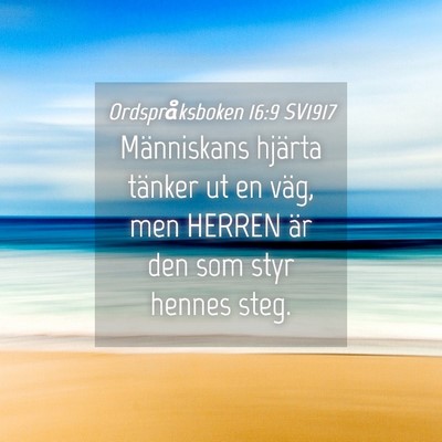 Picture 04 - Ordspråksboken 16:9 SV1917 - Människans hjärta tänker ut en väg, men - Bible Verse Picture
