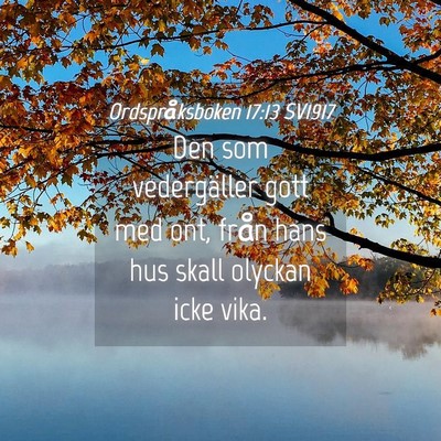 Picture 04 - Ordspråksboken 17:13 SV1917 - Den som vedergäller gott med ont, från hans hus - Bible Verse Picture