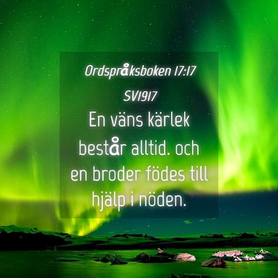 Picture 04 - Ordspråksboken 17:17 SV1917 - En väns kärlek består alltid. och en broder - Bible Verse Picture