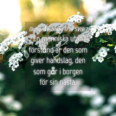 Picture 04 - Ordspråksboken 17:18 SV1917 - En människa utan förstånd är den som giver - Bible Verse Picture