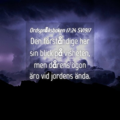 Picture 04 - Ordspråksboken 17:24 SV1917 - Den förståndige har sin blick på visheten, men - Bible Verse Picture