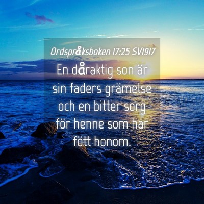 Picture 04 - Ordspråksboken 17:25 SV1917 - En dåraktig son är sin faders grämelse och en - Bible Verse Picture