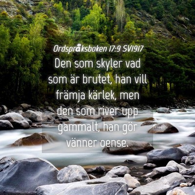 Picture 04 - Ordspråksboken 17:9 SV1917 - Den som skyler vad som är brutet, han vill - Bible Verse Picture