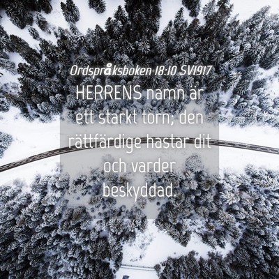 Picture 04 - Ordspråksboken 18:10 SV1917 - HERRENS namn är ett starkt torn; den - Bible Verse Picture