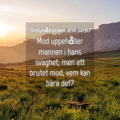 Picture 04 - Ordspråksboken 18:14 SV1917 - Mod uppehåller mannen i hans svaghet; men ett - Bible Verse Picture