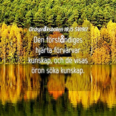 Picture 04 - Ordspråksboken 18:15 SV1917 - Den förståndiges hjärta förvärvar kunskap, - Bible Verse Picture