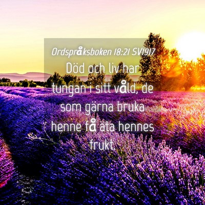Picture 04 - Ordspråksboken 18:21 SV1917 - Död och liv har tungan i sitt våld, de som - Bible Verse Picture