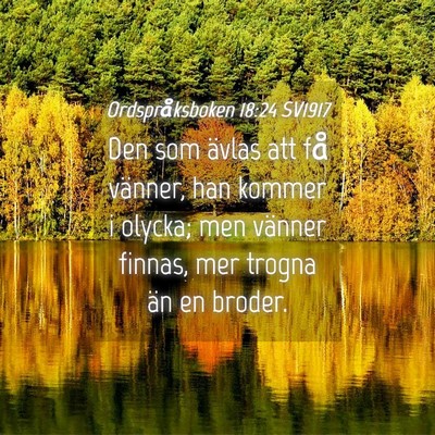 Picture 04 - Ordspråksboken 18:24 SV1917 - Den som ävlas att få vänner, han kommer i - Bible Verse Picture