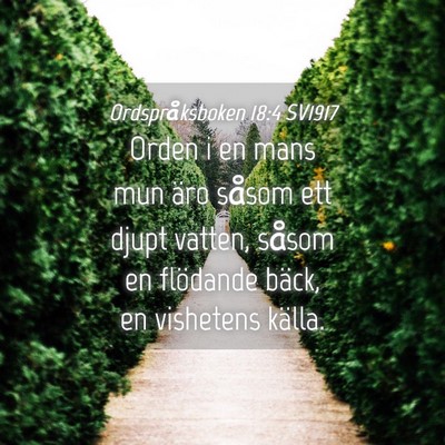 Picture 04 - Ordspråksboken 18:4 SV1917 - Orden i en mans mun äro såsom ett djupt vatten, - Bible Verse Picture