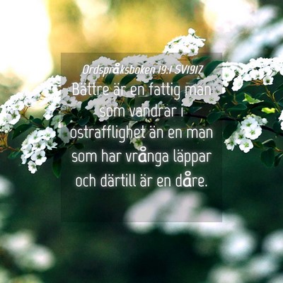 Picture 04 - Ordspråksboken 19:1 SV1917 - Bättre är en fattig man som vandrar i - Bible Verse Picture