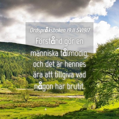 Picture 04 - Ordspråksboken 19:11 SV1917 - Förstånd gör en människa tålmodig, och det - Bible Verse Picture