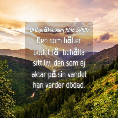 Picture 04 - Ordspråksboken 19:16 SV1917 - Den som håller budet får behålla sitt liv; den - Bible Verse Picture