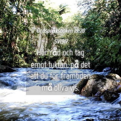 Picture 04 - Ordspråksboken 19:20 SV1917 - Hör råd och tag emot tuktan, på det att du - Bible Verse Picture