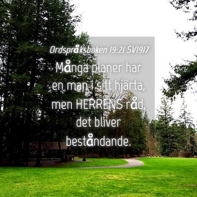 Picture 04 - Ordspråksboken 19:21 SV1917 - Många planer har en man i sitt hjärta, men - Bible Verse Picture