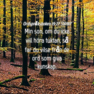 Picture 04 - Ordspråksboken 19:27 SV1917 - Min son, om du icke vill höra tuktan, så far du - Bible Verse Picture