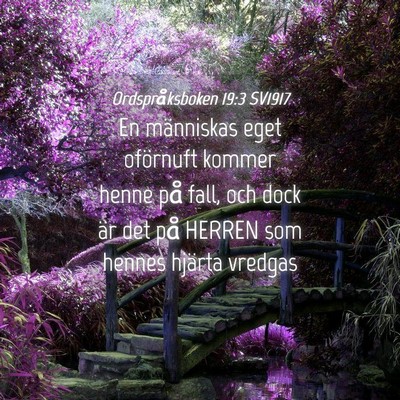 Picture 04 - Ordspråksboken 19:3 SV1917 - En människas eget oförnuft kommer henne på - Bible Verse Picture