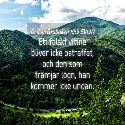 Picture 04 - Ordspråksboken 19:5 SV1917 - Ett falskt vittne bliver icke ostraffat, och den - Bible Verse Picture