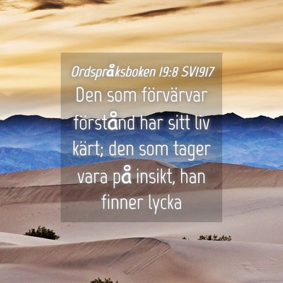 Picture 04 - Ordspråksboken 19:8 SV1917 - Den som förvärvar förstånd har sitt liv - Bible Verse Picture