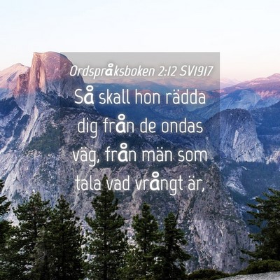 Picture 04 - Ordspråksboken 2:12 SV1917 - Så skall hon rädda dig från de ondas väg, - Bible Verse Picture
