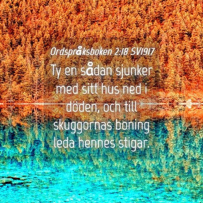 Picture 04 - Ordspråksboken 2:18 SV1917 - Ty en sådan sjunker med sitt hus ned i döden, - Bible Verse Picture