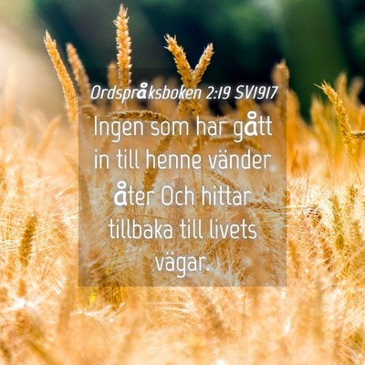 Picture 04 - Ordspråksboken 2:19 SV1917 - Ingen som har gått in till henne vänder åter - Bible Verse Picture