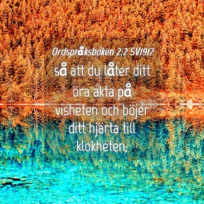 Picture 04 - Ordspråksboken 2:2 SV1917 - så att du låter ditt öra akta på visheten och - Bible Verse Picture
