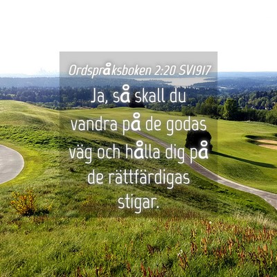 Picture 04 - Ordspråksboken 2:20 SV1917 - Ja, så skall du vandra på de godas väg och - Bible Verse Picture