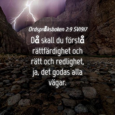 Picture 04 - Ordspråksboken 2:9 SV1917 - Då skall du förstå rättfärdighet och rätt - Bible Verse Picture