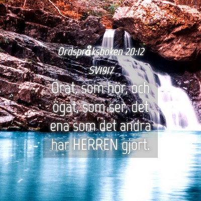 Picture 04 - Ordspråksboken 20:12 SV1917 - Örat, som hör, och ögat, som ser, det ena som - Bible Verse Picture