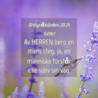 Picture 04 - Ordspråksboken 20:24 SV1917 - Av HERREN bero en mans steg; ja, en människa - Bible Verse Picture