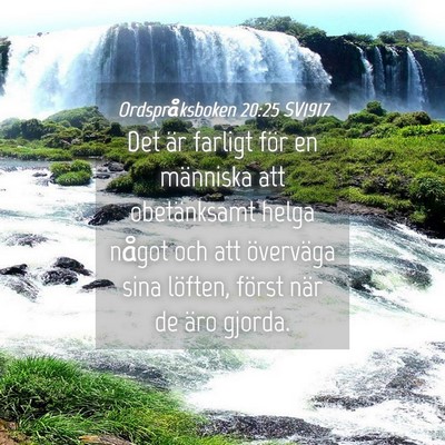Picture 04 - Ordspråksboken 20:25 SV1917 - Det är farligt för en människa att - Bible Verse Picture