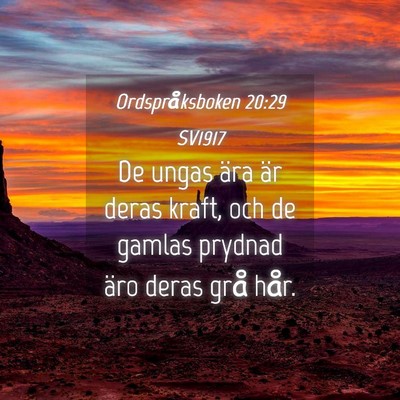 Picture 04 - Ordspråksboken 20:29 SV1917 - De ungas ära är deras kraft, och de gamlas - Bible Verse Picture
